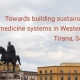 Towards building sustainable and co-created telemedicine systems in Western Balkan Countries